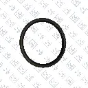 4207421 oil seal back.webp