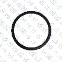 52769231 - SEAL - TOP.webp