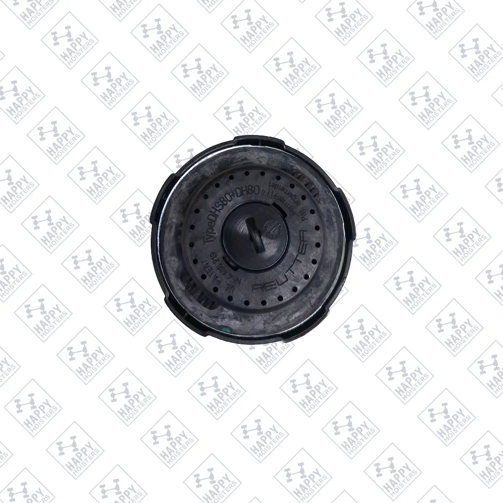 T13012061 - DIESEL CAP - BACK.webp