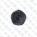 T13012061 - DIESEL CAP - BACK.webp