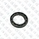 190003310239 - BOTTOM.webp