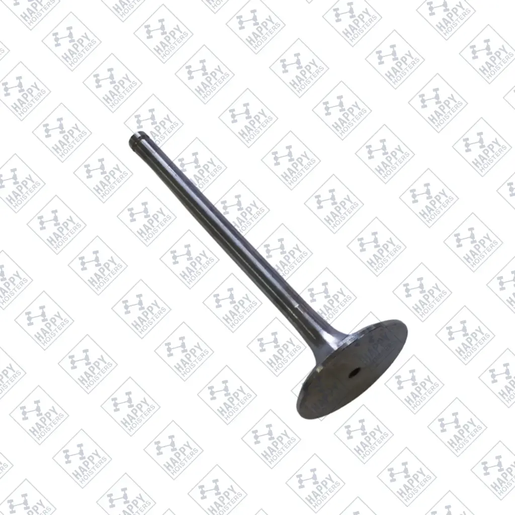 Intake Valve ©