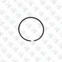 Piston Ring©