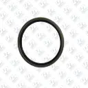 Seal Lip End Plate ©