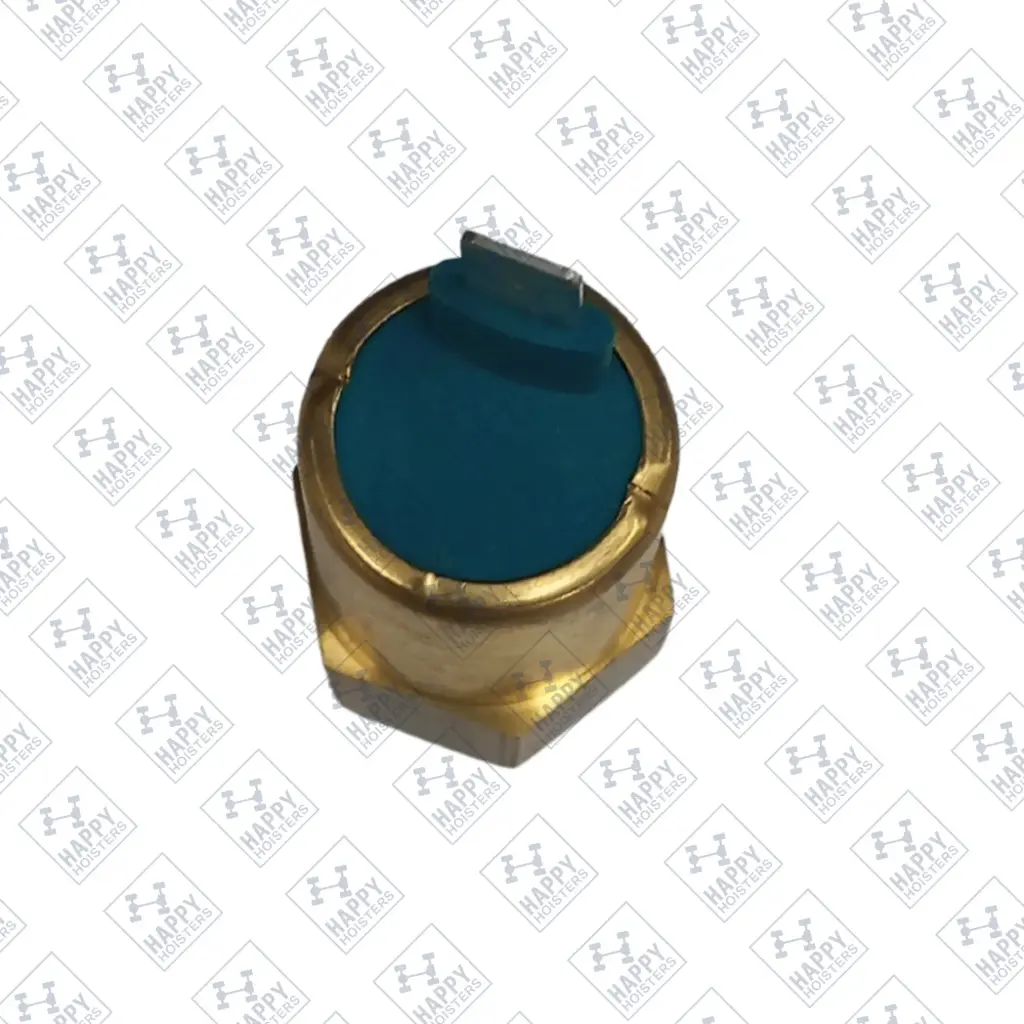 Temperature Switch ©