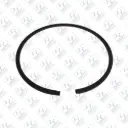 Piston Ring ©