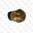 Temperature Switch ©