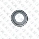 Seal / Nilos Ring