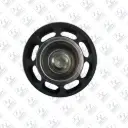 Idler Pulley ©