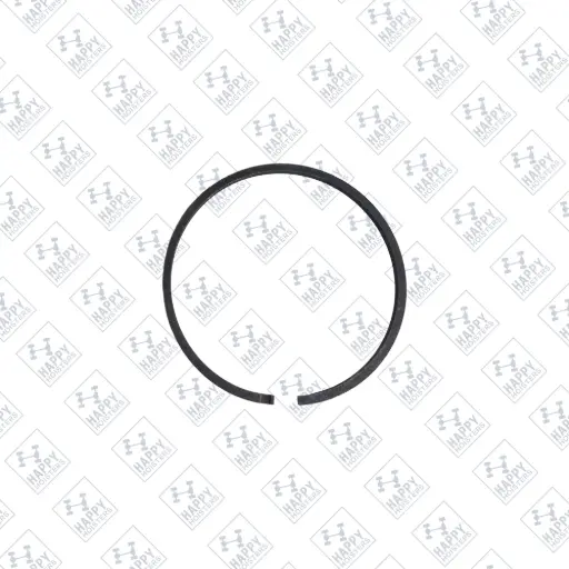 Piston Ring ©