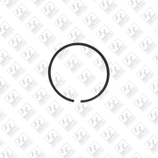 Piston Ring ©